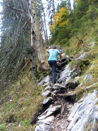 Holzstufen und Hühnerleitern