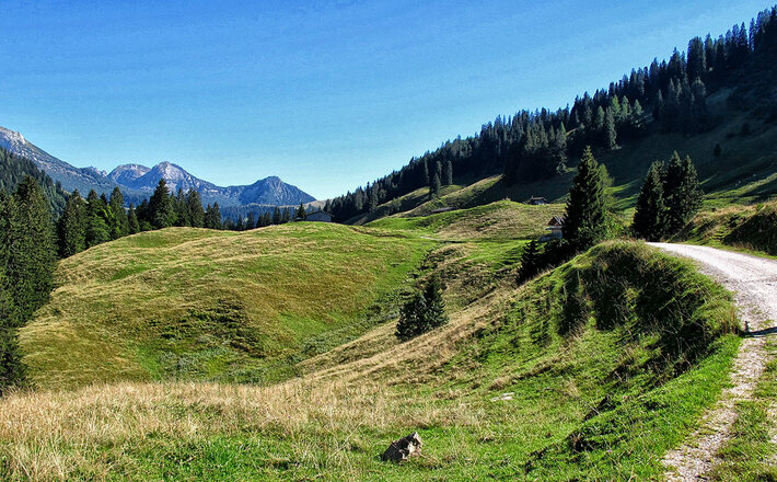 Die letzten Meter zur Litzlalm