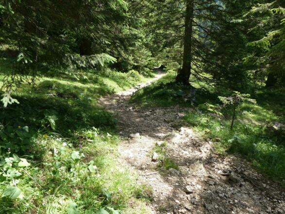 Aufstieg von der Mordaualm