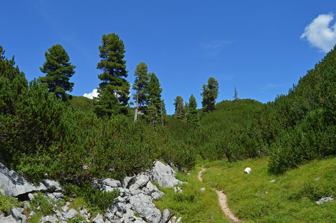 Das Plateau der Reiter Alm | Reiter Alpe