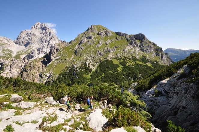 Oben am Hundstodgatterl ein Blick zurück auf die gewaltige Südspitze  - einer von drei Gipfeln des Watzmann