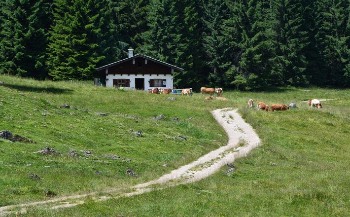 Egglerkaser auf der Anthauptenalm