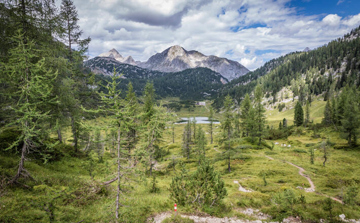 Blick in die Eiskapelle © Ann-Kathrin Helbig