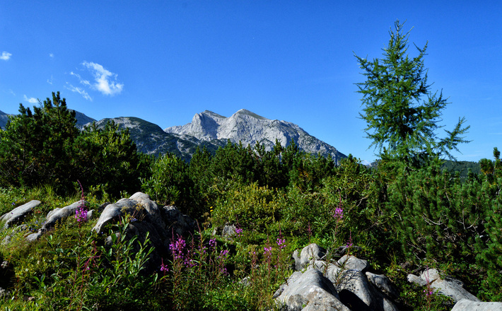 DIe Schlegelmulde ist auch im Winter ein lohnendes Ziel