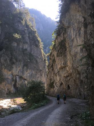 Durch den Stoißengraben