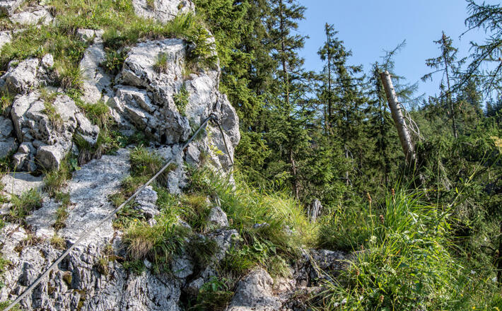 Seilsicheurng im Rinnkendl-Steig