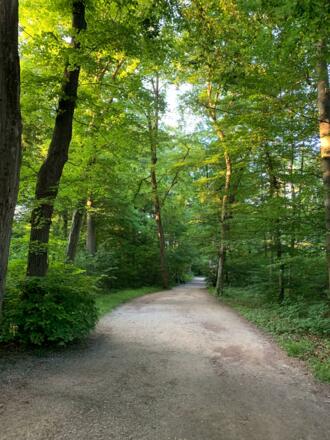 Nymphenburger Schlosspark