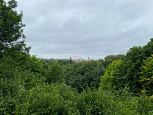 Ausblick vom Neuhofener Berg