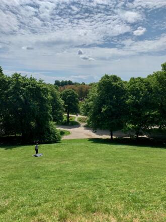Ausblick vom Rosenhügel