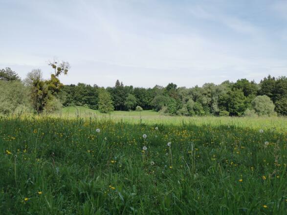 Aubinger Lohe - Keltenschanze