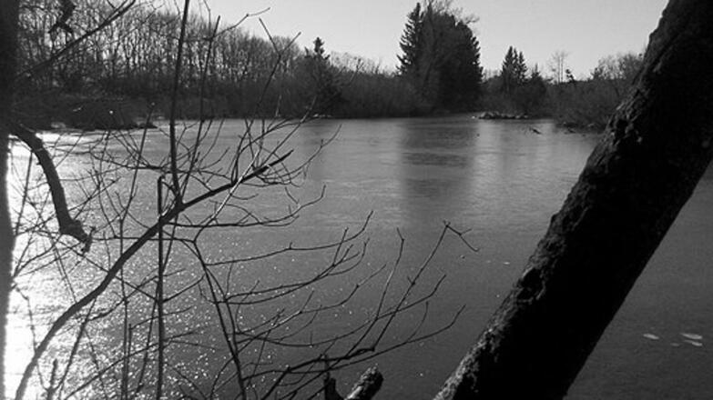 Moosschwaiger Weiher