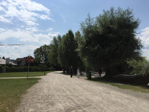 Restaurant Ammerseeblick, Rollstuhl-WC