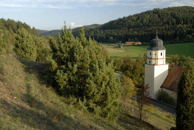 Wallfahrtskirche bei Hohenburg am Jurasteig