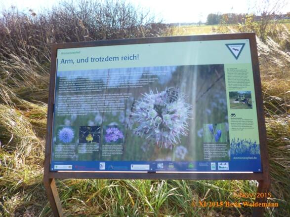 Infotafel am Naturbeobachungsturm