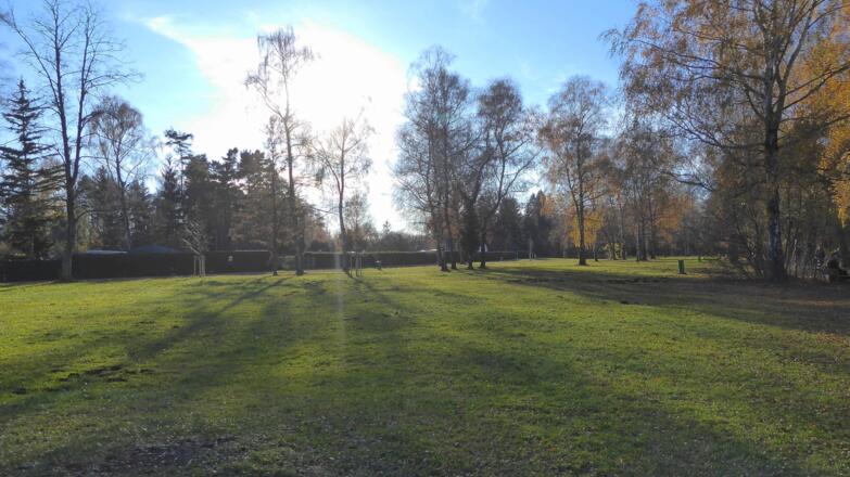 Olchinger See - Liegewiese