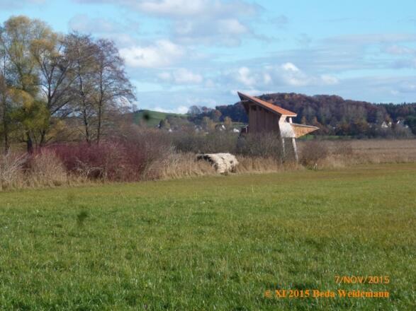 Naturbeobachtungsturm Kottgeisering