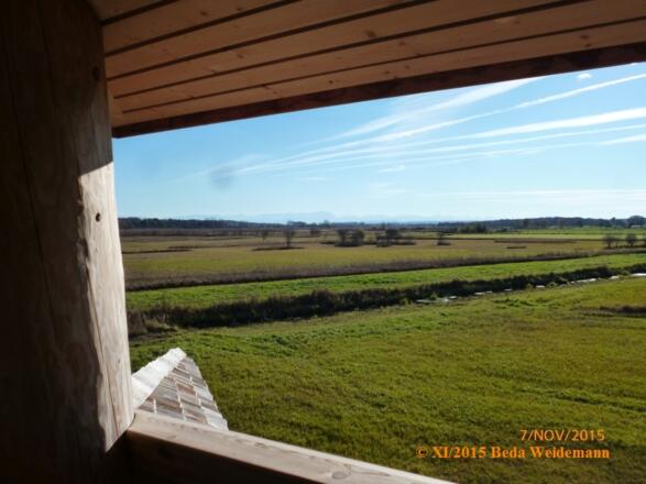 Blick vom Turm ins Ampermoos