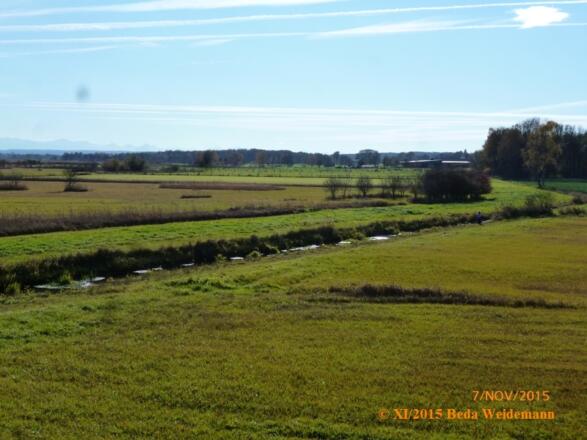 Blick vom Turm ins Ampermoos mit Alpenkette