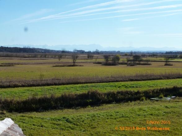 Blick  vom Turm über das Ampermoos zur Zugspitze