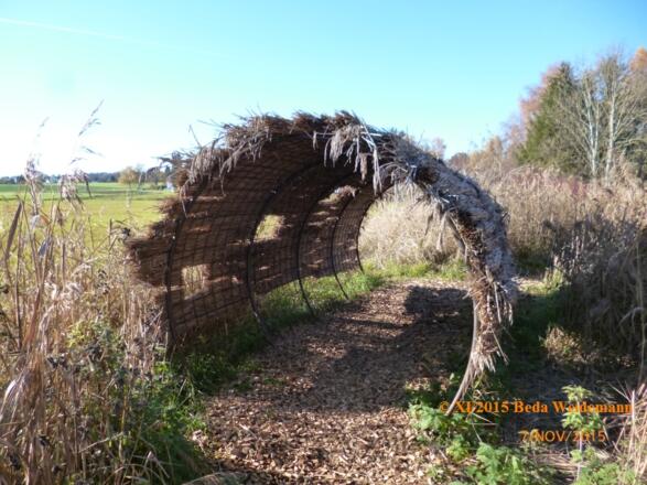 Objekt &quot;Begehbares Schilfrohr&quot; von Franziska Merkl und Lea Thurner
