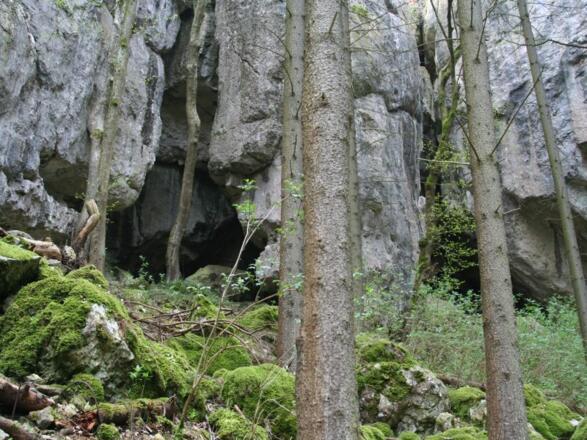 Kastlhänghöhle zwischen Riedenburg und Essing im Altmühltal