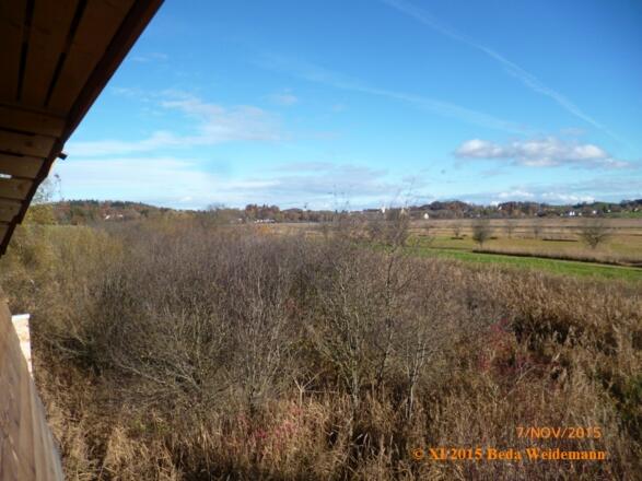 Blick vom Turm Richtung St. Rasso