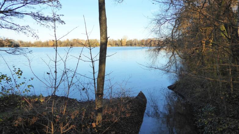 Olchinger See - Zufluss am süd-westlichen Ufer