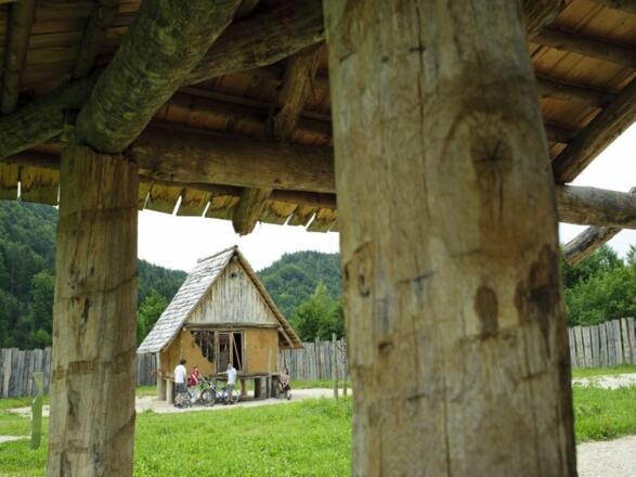 eisenzeitliches Gehöft in Riedenburg-Oberhofen