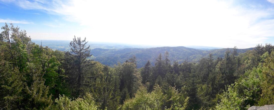 Panorama vom Klausenstein nach Westen