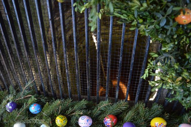 Birkenreuther Brunnen mit Osterschmuck