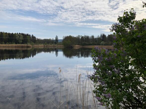 Breitensee in Mitwitz