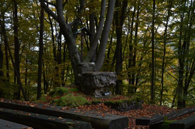 Heiliger Bühl - Wald-Kirchenruine im Muggendorfer Gebürg