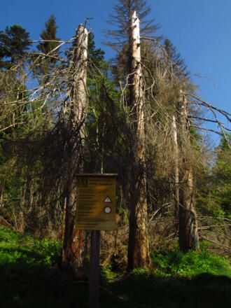 Eintritt Urwald Hans Watzlilck Hain