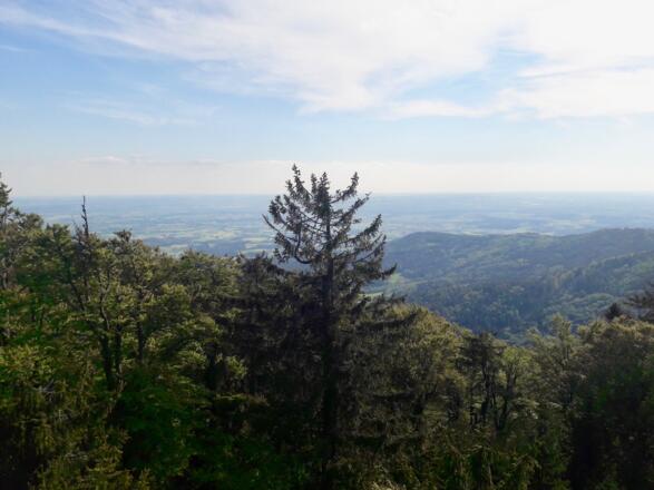 Blick vom Klausenstein in Donautal