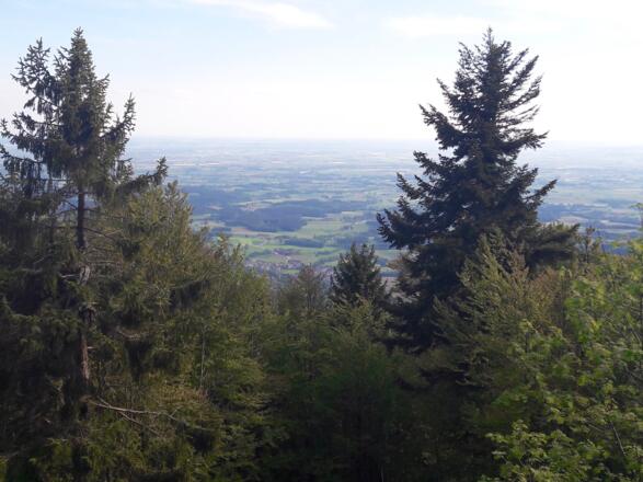 Blick vom Rauhen Kulm in Donautal