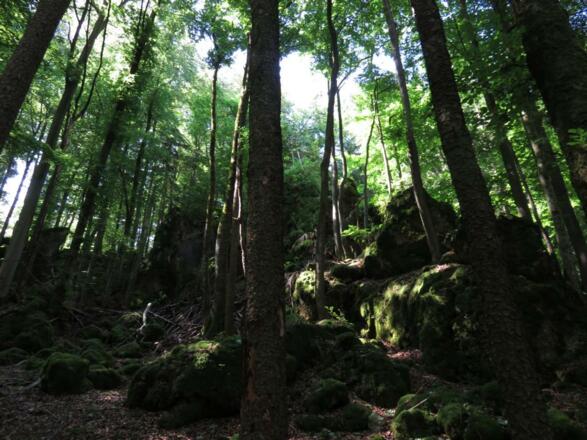 Oberhalb des Felsentors