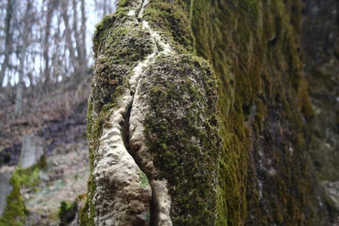 Die Steinerne Rinne im Detail