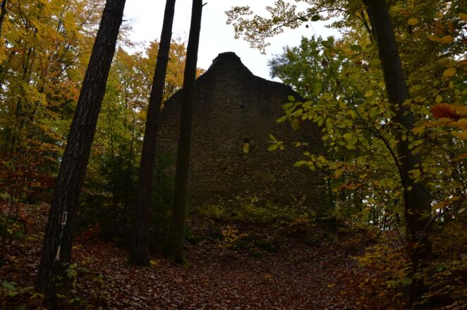 Heiliger Bühl - Wald-Kirchenruine im Muggendorfer Gebürg