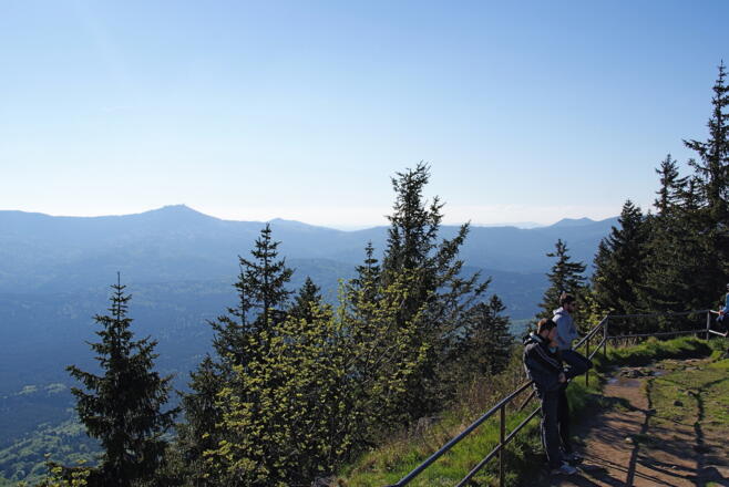 Blick zum Großen Arber