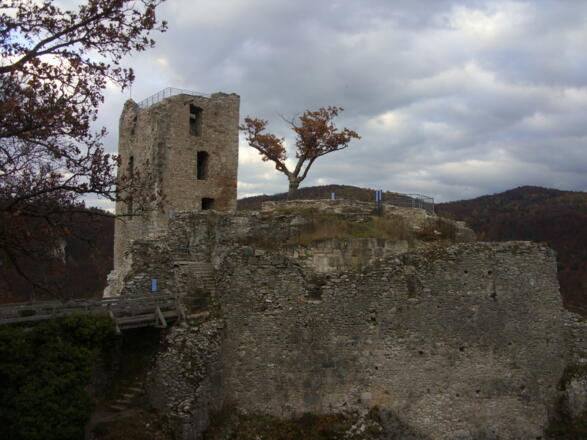Neideck ~ Burgruine