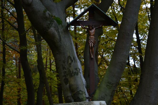 Heiliger Bühl - Wald-Kirchenruine im Muggendorfer Gebürg