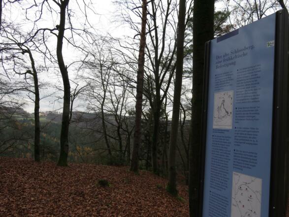 Keltenwall bei Burggaillenreuth