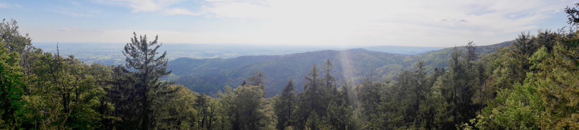 Panorama vom Klausenstein nach Westen