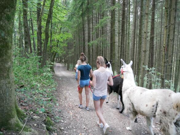 Lama-Trekking Reckenberg