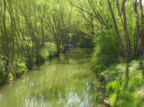 Gemeinde Röttenbach