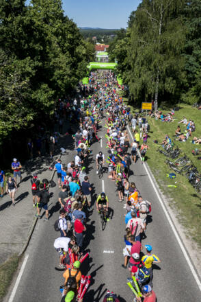 Stimmungsnest am Solarer Berg