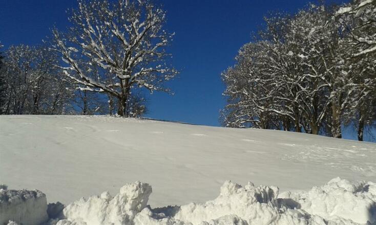 Blick vom Haus auf Kurpark