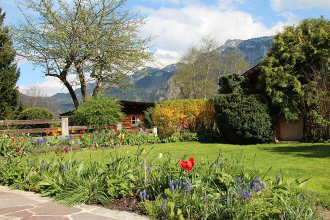 unser Garten Im Frühjahr Blick Richtung Tegelberg