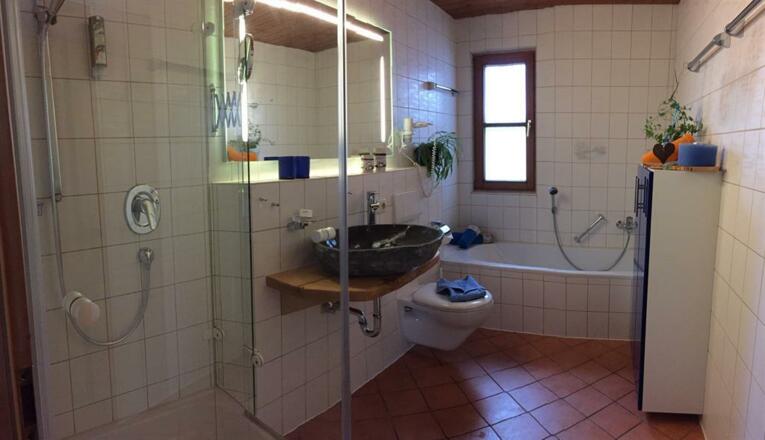 Badezimmer mit Dusche & Badewanne Schloßblick