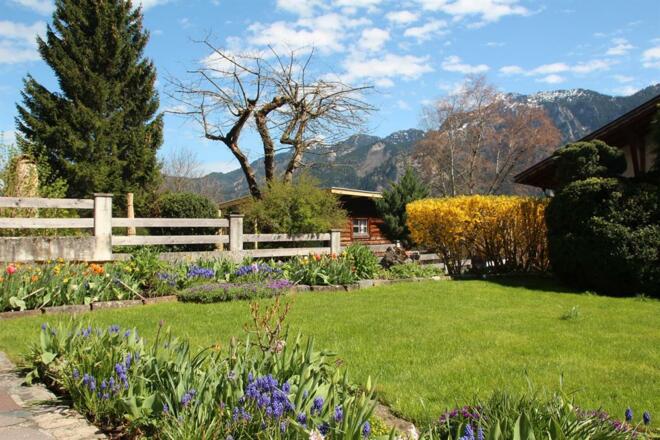 unser Garten Im Frühjahr Blick Richtung Tegelberg